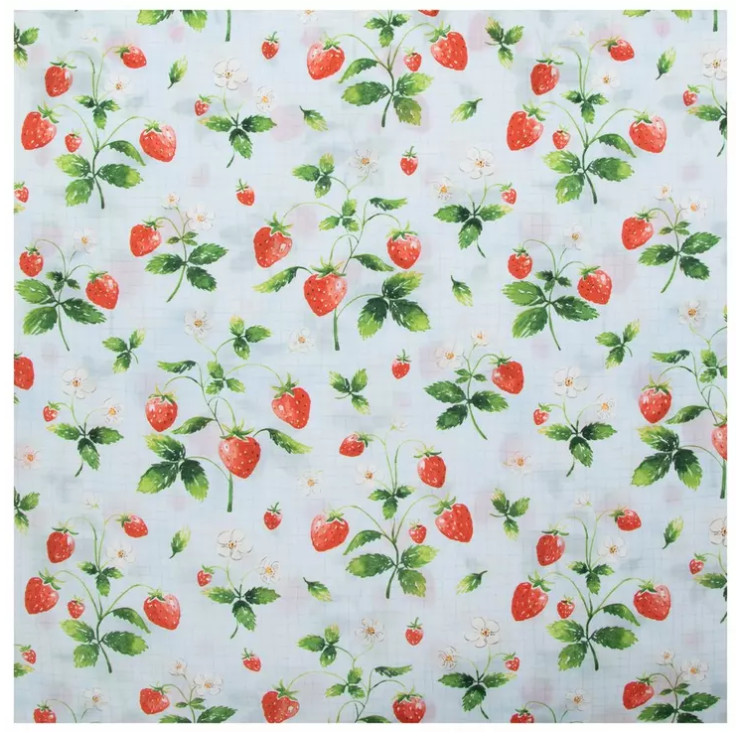 Brother Sister Design Studio Strawberries Duck Cloth Fabric New Priced BTY