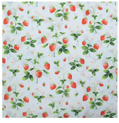 Brother Sister Design Studio Strawberries Duck Cloth Fabric New Priced BTY