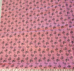 Pink Double Horseshoe Western Fabric Wild Wild West Paisley 70″x40″ Cotton Quilt