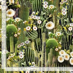Southwest Sunset Fabric | Flowering Saguaro Cactus | Timeless Treasures YARD