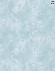 Solid-ish Tone on Tone cotton fabric BTY Timeless Treasures PAPAYA Orange Tonal