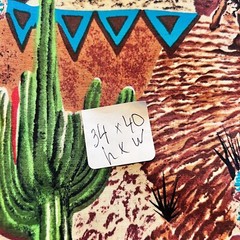 Western Cowboy Cotton Fabric S Shamash and Sons 40×34”