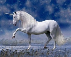 Magestic Unicorn At Night Digital Print Cotton Fabric Panel 1 Yard #AL39970C1