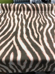 Zany Zebra Blush Drapery Upholstery Ronnie Gold Home Accent Fabric By The Yard