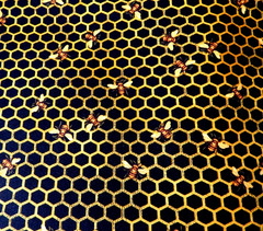 BTY TIMELESS TREASURES “BEE GRATEFL BEES ON HONEYCOMB” Print Cotton Fabric
