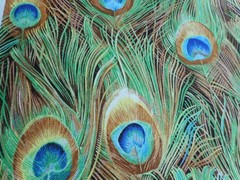 Brand New Peacock Large Print Fabric 100% Cotton by the 1/2 yard 18″ x 44″