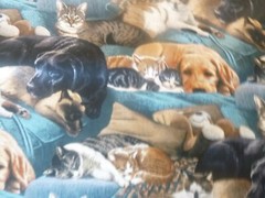 Real Dogs & Cats Resting Together Cotton Fabric -15 INCHES WIDE & 36 INCHES LONG