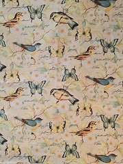 CP63910 Susan Winget fabric Birds Butterflies Flowers 78″ Long X 42″ W