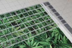 Cannabis Hemp Fabric Fat Quarter FQ {100% COTTON} Marijuana Pot Weed 420 Grass