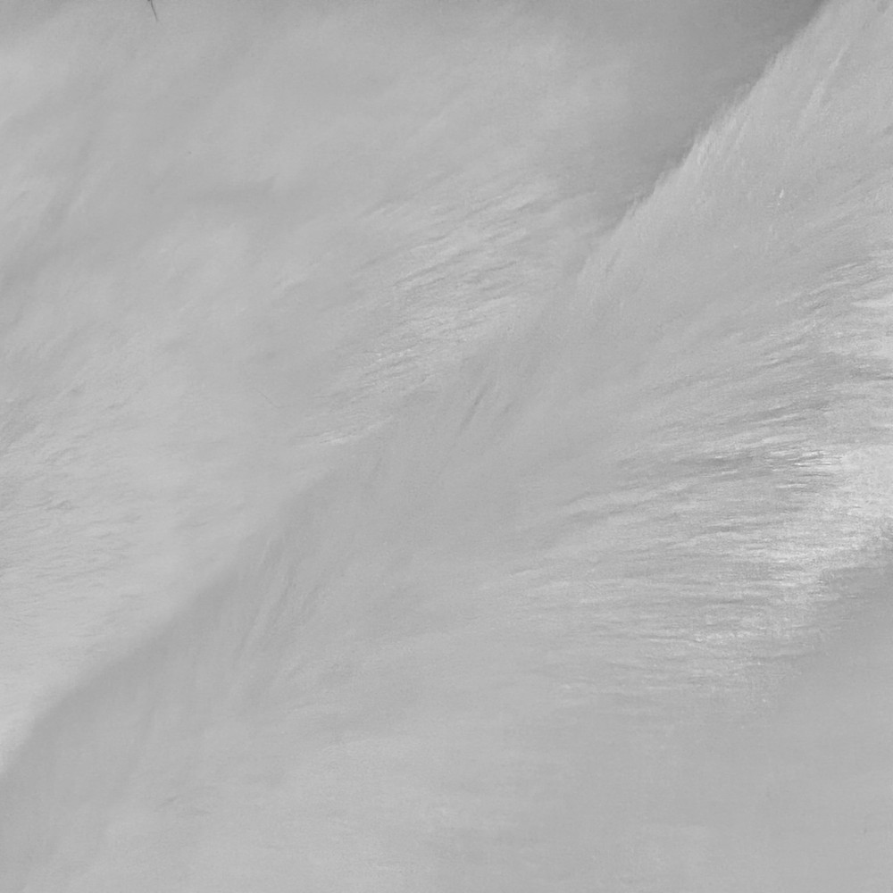 Zahra WHITE 0.75 Inch Short Pile Soft Faux Fur Fabric for Fursuit, Cosplay Cost