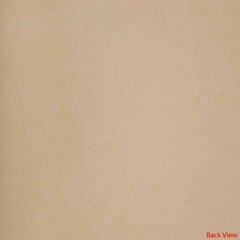Spradling Boat 1/8 Foam Back Vinyl 108399 | Diamante 54 Inch (YD)