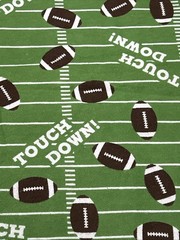 JoAnn Snuggle Flannel Fabric 2 Yards Football Touch Down NEW