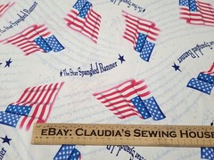 A Nation’s Song BTY Quilting Treasures Red Blue Flag Star Spangled Banner White