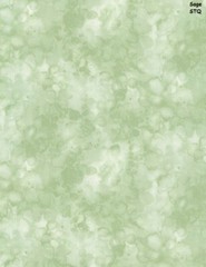 Solid-ish Tone on Tone cotton quilt fabric BTY Timeless Treasure PICKLE green