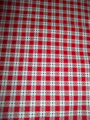 1 Yard Cotton Fabric “BLACK AND WHITE AND READ ALLOVER-Spectrix C. Taylor Oates