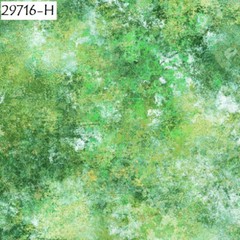 Earthscapes cotton Quilt fabric Quilting Treasures 29716-T Mottled Earth Tones