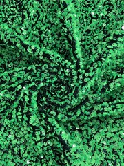 Stephanie GREEN Overlap Sequins on HUNTER GREEN Stretch Velvet Fabric by the Ya