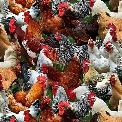 Animal Fabric – Farm Animals Chicken Packed – Elizabeth’s Studio YARD