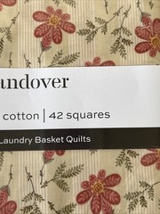Laundry Basket Quilts LAUNDRY LINE 10” Sundae For Andover Fabrics