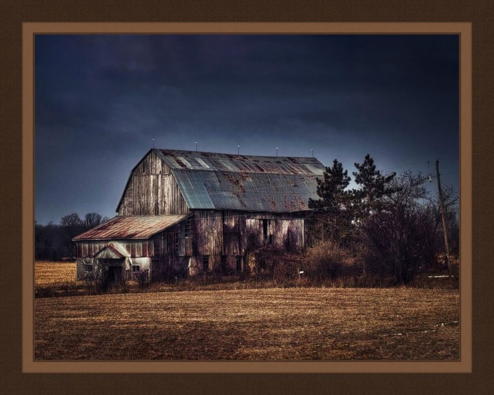 Weathered Barn Panel Cotton Fabric