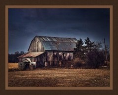 Weathered Barn Panel Cotton Fabric