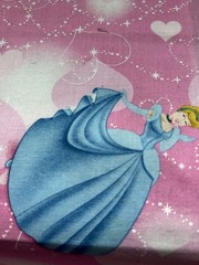 Disney Princesses 18″ x 17″ Cotton Fabric Sewing Crafting One Piece