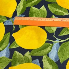 Richloom Solarium Outdoor Fabric Lemons Citrus in Sapphire BTY