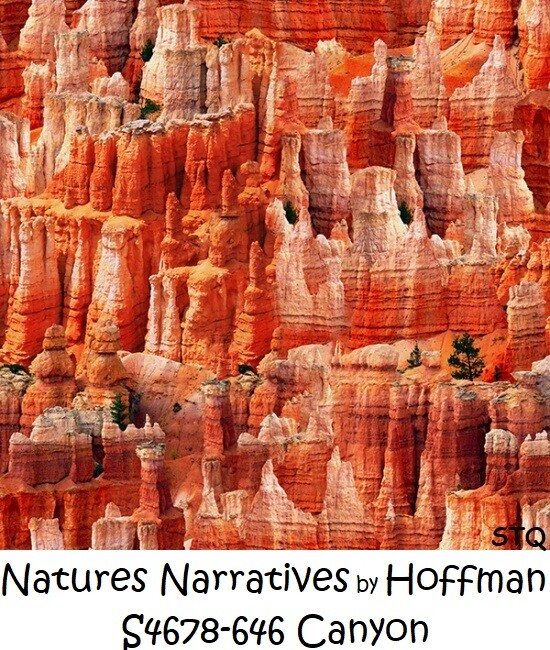 Natures Narratives Canyon Cotton Quilt Fabric by Hoffman BTY R4678-646