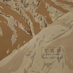 59″W Tiger Stripes 500D Cordura Nylon Ripstop Water Repellent Fabric