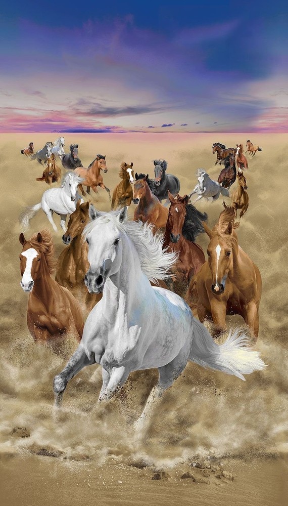 Running Horse Horses Panel D3482 Timeless Treasures Durable Cotton Fabric 2/3 yd