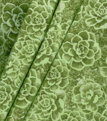 Pearlescent Green Succulent 100% Cotton Fabric by the Half Yard 18″ x 44″