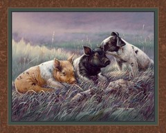 THREE LITTLE PIGS Fabric Panels Quilt Tops, Wall Hangings 100% Cotton 45″ X 36″
