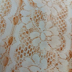 Single Piece Ivory Ecru Floral Print Lace Fabric 3 yards by 48 inches
