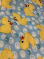 7+ yards Fabric Lot Felt & Fleece Alphabet Ducks Pink/White Gingham Baby #109
