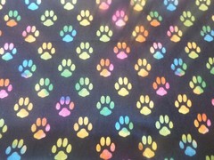 Multicolored Paw Print Cotton Fabric – 14 INCHES WIDE and 36 INCHES LONG