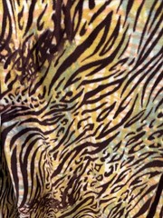 Colorful Zebra Animal Print 60” X 108” By Colorful Skin Premium Fleece