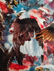 Wild Wings & Janene Grende Bald Eagle America Fabric 3 Yards 108″ X 42″