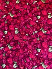 VTG Marketplace II by paintbrush Studio Discontinued Boysenberry Cotton 18”X43”