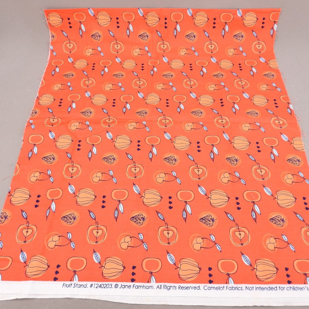Jane Farnham for Camelot Fabrics Fruit Stand Orange Modern Print 18″ x 44″ Quilt