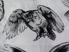 BROTHER SISTER FABRIC~Blk White~SKETCHED OWLS~Snowy~Great Horned~Barn~Screech~