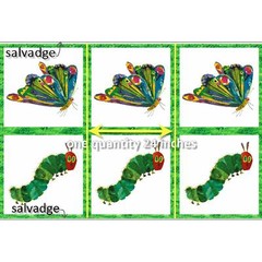 ANDOVER “THE VERY HUNGRY CATERPILLAR” METAMORPHOSIS A-5280-M by the panel