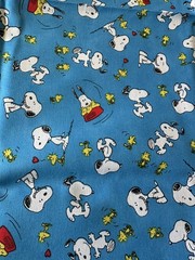 Snoopy Woodstock Peanuts Comics Characters Dogbowl Fabric Print: 19 1/2” x 43”