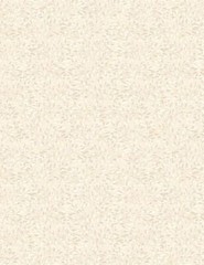 Essentials Whimsy By Wilmington Prints – Light Tan #75509-211