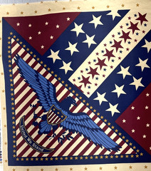 Patriotic United We Stand Red Tan Eagle Stars Stripes Fabric Panel 42″x23″ #69