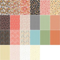 Corinne Wells Besties 10″ Stacker 42 10inch Squares Layer Cake Riley Blake De…