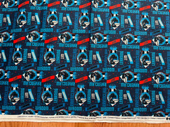 Warner Brothers Camelot Harry Potter Fabric 18” x 42” Vintage Rare New Blue