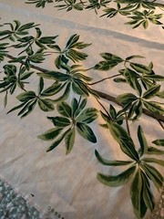 1.5 yards Thibaut Mangrove Tree Green & White Fabric Linen Cotton Tropical Leaf