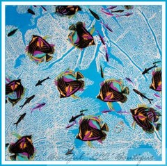 BonEful Fabric FQ Cotton Quilt Aqua Blue Water Tropical Rainbow Sea FISH School