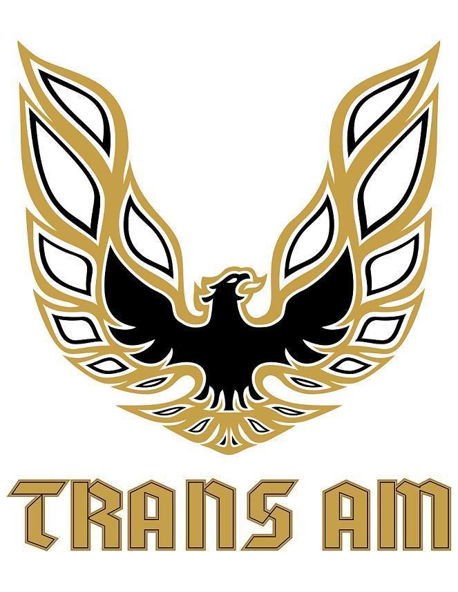 Trans Am # 10 – 8 x 10 – T Shirt Iron On Transfer