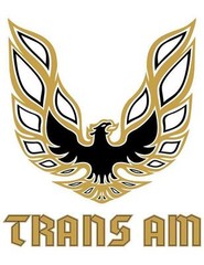 Trans Am # 10 – 8 x 10 – T Shirt Iron On Transfer